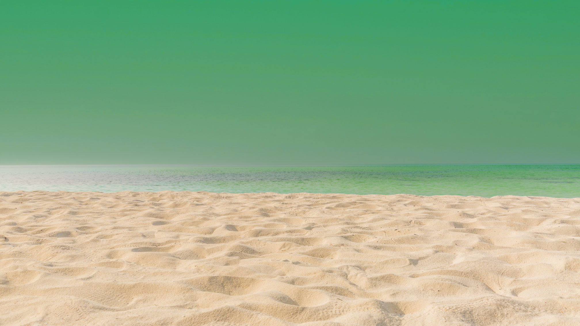 AdobeStock_156205552.jpg